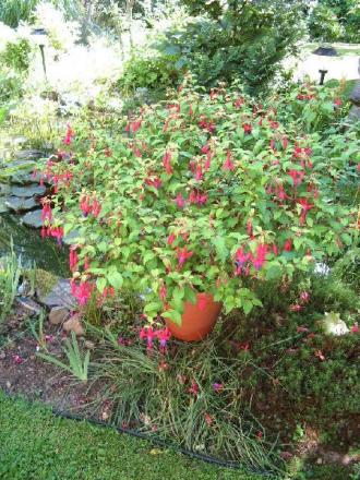 gallery_12869_1283_19563.jpg