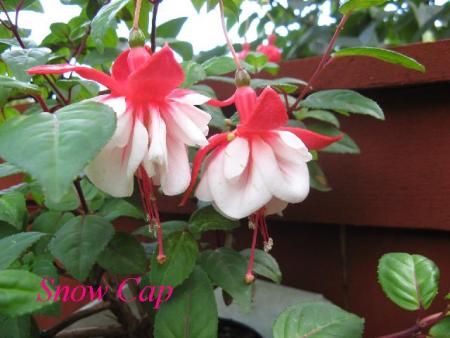 gallery_12869_1283_28651.jpg