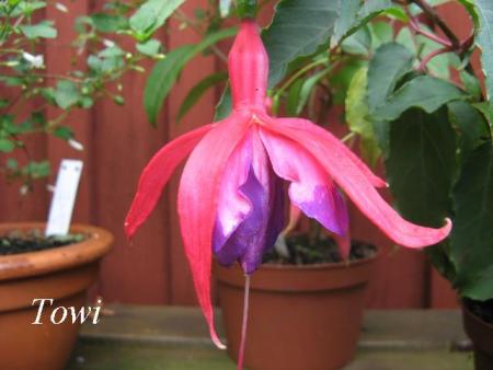gallery_12869_1283_37775.jpg