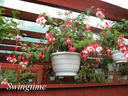 gallery_12869_1283_46245.jpg