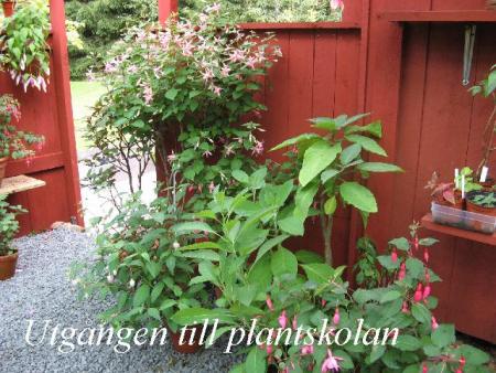 gallery_12869_1283_62689.jpg