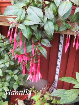 gallery_12869_1283_69564.jpg