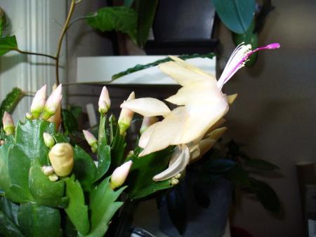 gallery_10231_957_13368.jpg