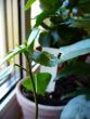 tn_gallery_10231_831_18482.jpg