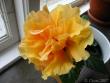 tn_gallery_4113_189_32393.jpg