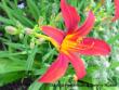 tn_gallery_601_1378_2793.jpg
