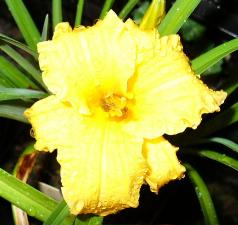 gallery_7131_1370_9623.jpg
