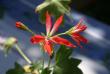 tn_gallery_90_1389_23864.jpg