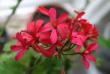 tn_gallery_90_1389_38540.jpg