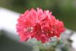 tn_gallery_90_1389_41228.jpg
