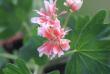 tn_gallery_90_1389_6375.jpg