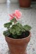 tn_gallery_90_1389_9566.jpg