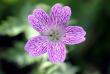 tn_gallery_90_1390_10364.jpg