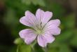 tn_gallery_90_1390_39820.jpg