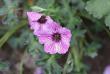 tn_gallery_90_1390_7312.jpg