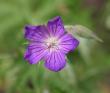 tn_gallery_90_1390_9621.jpg