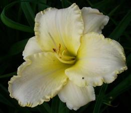 gallery_7131_1370_12394.jpg