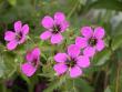tn_gallery_90_1390_68585.jpg