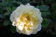 tn_gallery_90_1394_36060.jpg