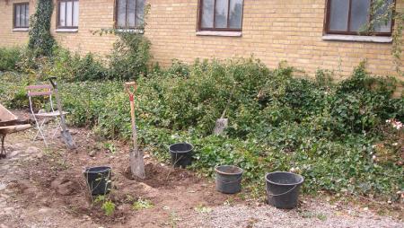 gallery_12789_1345_33144.jpg