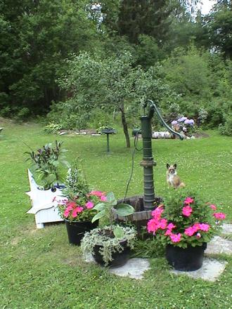 gallery_12948_1405_76220.jpg