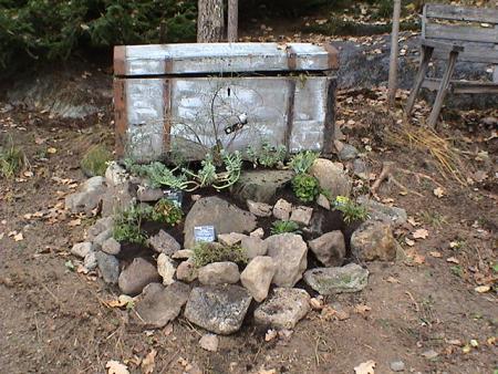 gallery_12948_1405_126257.jpg