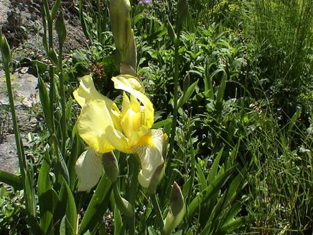 gallery_12948_1405_13402.jpg