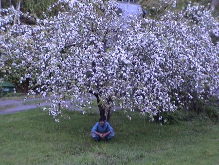 gallery_12948_1405_6150.jpg