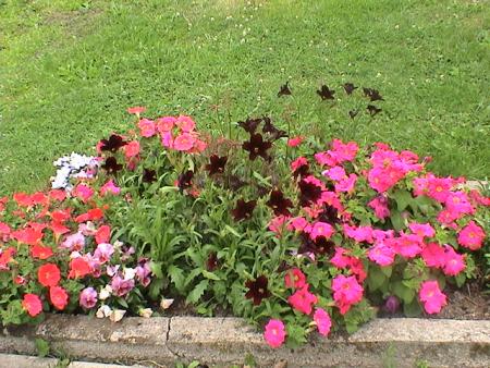 gallery_12948_1405_66202.jpg