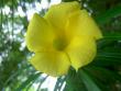 tn_gallery_1251_1401_42517.jpg