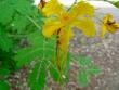 tn_gallery_1251_1401_43255.jpg