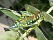 tn_gallery_1251_1401_6831.jpg