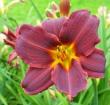 tn_gallery_7131_1370_811.jpg