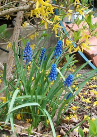 gallery_12879_1415_183146.jpg