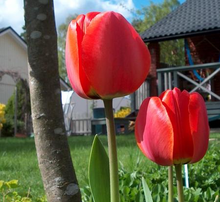 gallery_12879_1415_91596.jpg