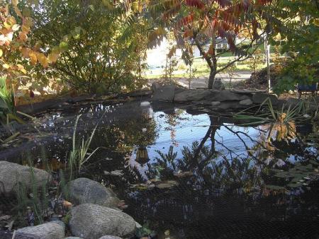 gallery_12962_1362_14055.jpg