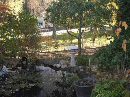 gallery_12962_1362_40468.jpg