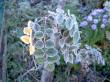 tn_gallery_834_1413_23149.jpg
