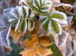 tn_gallery_834_1413_75169.jpg
