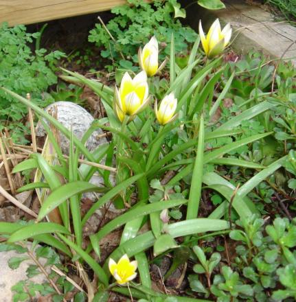 gallery_12879_1415_39144.jpg