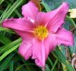 tn_gallery_7131_1370_5137.jpg