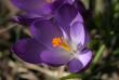 tn_gallery_90_1418_25302.jpg