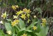 tn_gallery_90_1418_46683.jpg