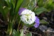 tn_gallery_90_1418_816.jpg