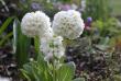 tn_gallery_90_1418_8446.jpg
