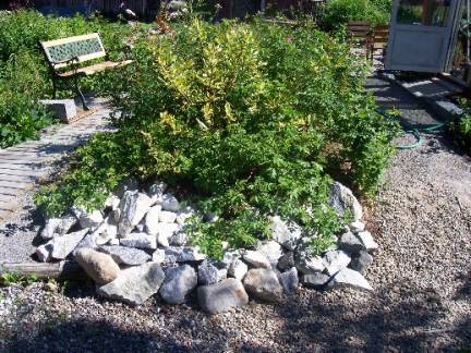 gallery_559_1423_25529.jpg