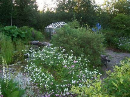 gallery_559_1423_27865.jpg