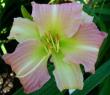 tn_gallery_7131_1370_11416.jpg