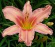 tn_gallery_7131_1370_6665.jpg