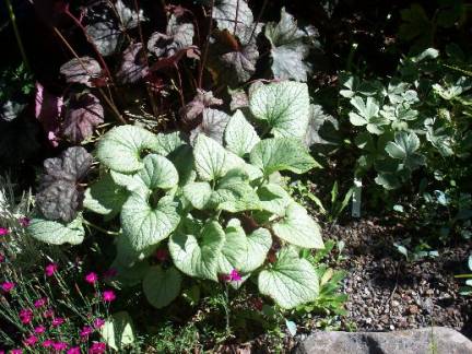 gallery_559_1423_31297.jpg